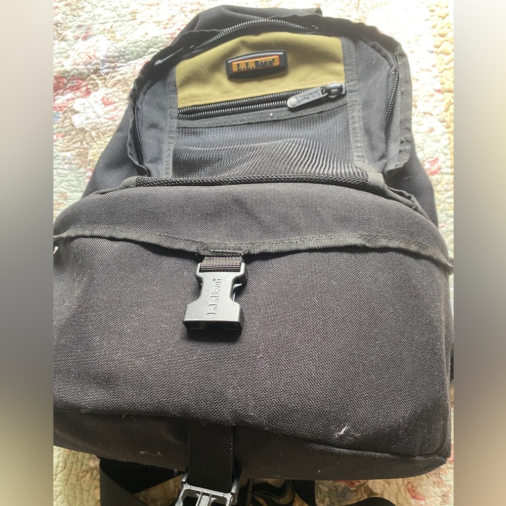 COPY - LL Bean cooler backpack